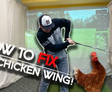 Get that chick wing out of your swing