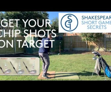 GET YOUR CHIP SHOTS ON TARGET