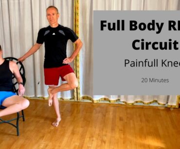 Follow Along Full Body Workout  For PAINFUL KNEES (Sitting and Standing) Beginner