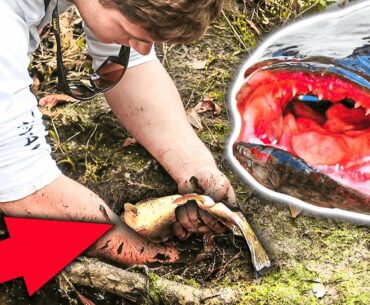 CRAZY Man Pulls PREDATOR Fish Out Of The Ground (Almost Bit!)