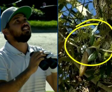 Jason Day’s tree shot leads to trouble at Arnold Palmer Invitational