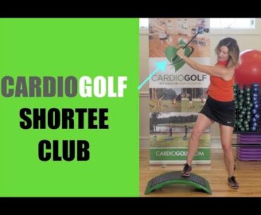 Improve Your Golf Swing and Lower Your Score with the Shortee Practice Training Club