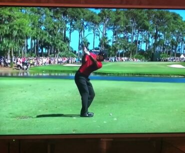 Easiest swing in golf, Analysis of Tiger Woods new head movement