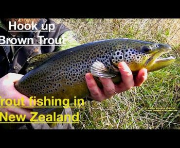 #waikarimoana Trout fishing for Brown and Rainbow in rivers and lakes in New Zealand part 98