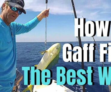 How to GAFF Fish The BEST Way Gaffing Fish Basics & Tactics