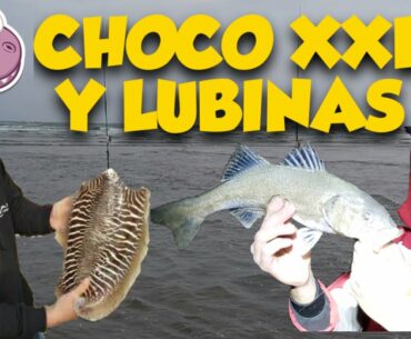 CHOCO XXL Y LUBINAS en ISLA CANELA!!!