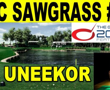TPC Sawgrass 17th Hole on TGC 2019 - UNEEKOR EYE XO (Golf Simulator)