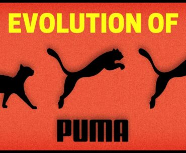 The Evolution of Puma