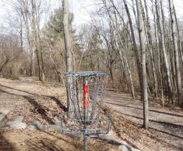 Wildwood 10 Long Tee Flyup | Disc Golf