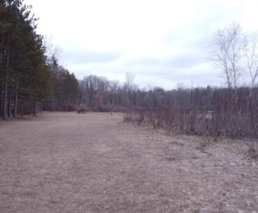 Deerfield 13 Long Tee Flyup | Disc Golf