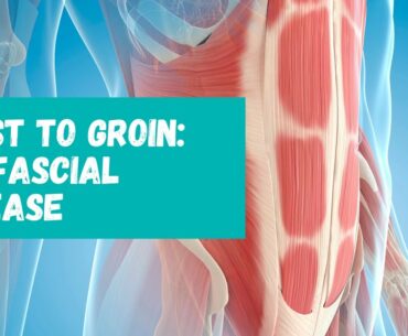 Chest to Groin: Myofascial Release