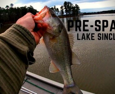 PRESPAWN BASS Fishing Lake Sinclair! (Bass Tournament)