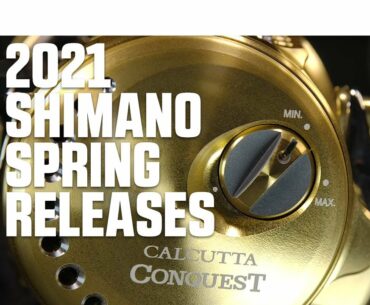 New Shimano Exsence, Ultregra Spinning Reels and Calcutta Conquest Models - 2021 Spring Releases