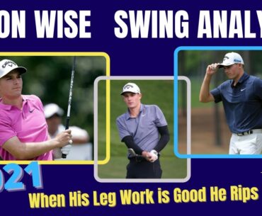 Aaron Wise Swing Analysis ( 2021 PGA TOUR )