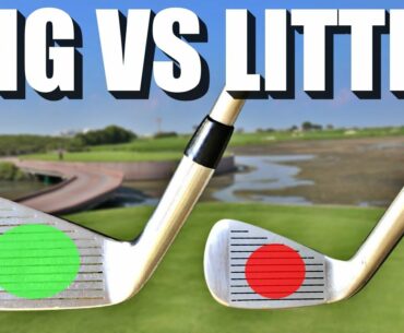 THE MINI CLUBHEAD GOLF CHALLENGE | Are these good practice Golf Clubs?