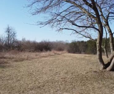 Wildwood 13 Long Tee Flyup