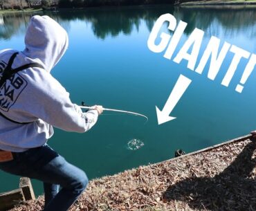 FISHING URBAN PONDS for GIANT BASS (With Fletcher The Fisherman)