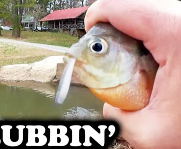 Spring Float Fishing at the Club - Realistic Fishing from the Bank