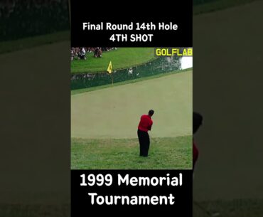 Tiger woods moment