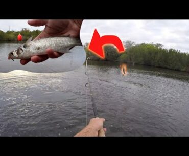 Early Spring Tarpon Fishing!!!