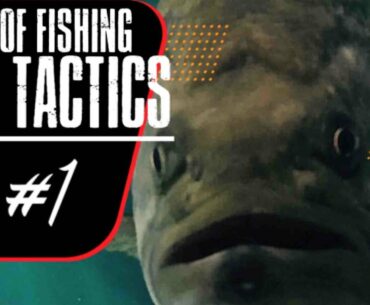TOP TACTICS #1 - Dave Mercer's Facts of Fishing THE SHOW Season 13 Full Episode