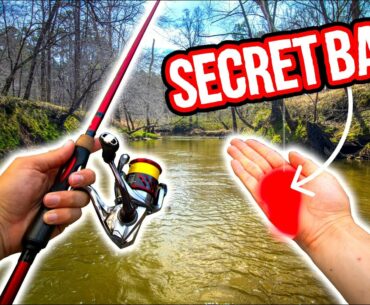 This Lure CATCHES EVERYTHING (best spring bass fishing lure)