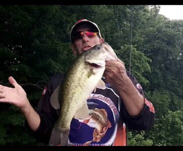 FROGS AND JIGS BASS FISHING  ON THE UPPER BAY