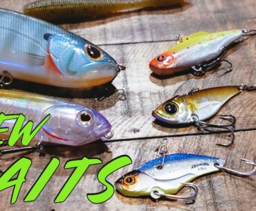 Fall Bass Fishing Buyer's Guide!