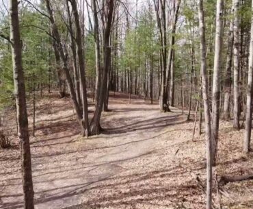 Wildwood 1 Long Tee Flyup | Disc Golf