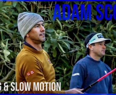 Watch Adam Scott Swing From Genesis Invitational 2021 (Slow Motion)