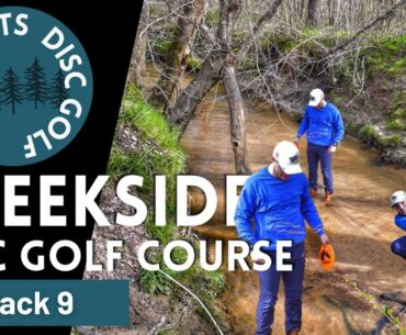 Will We Stay Dry?! Creekside Disc Golf - Back 9