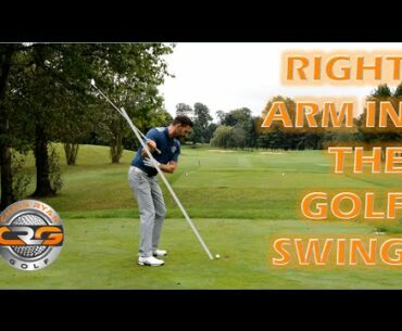 TRAIL ARM IN THE GOLF SWING