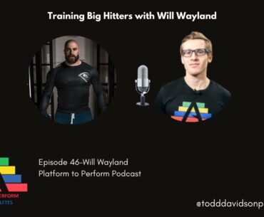 Training Big Hitters with Will Wayland