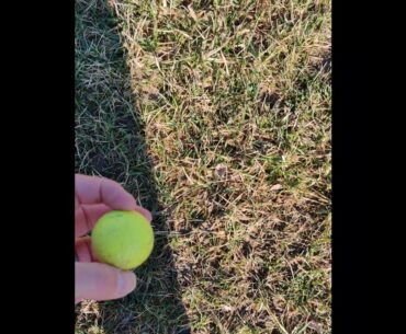 Nasty Nitro Golf Ball Close Up Practice 200 Yards Mizuno MP33 YoroCraft 6 Iron