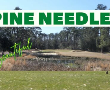 PINE NEEDLES COURSE VLOG