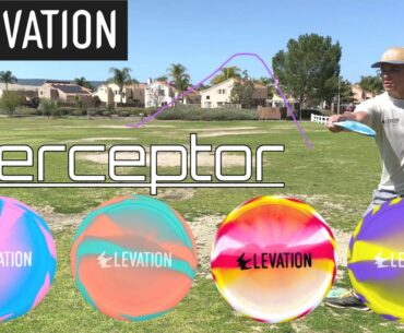 Interceptor Overview: What Makes This Disc Golf Approach Disc Special?