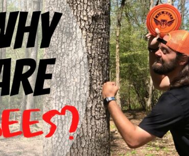 Tips for Playing Wooded Courses | Disc Golf for Beginners