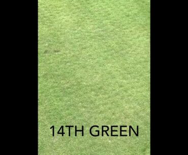 Pitchmarks