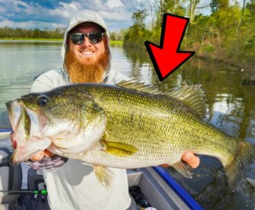 We Caught Our BIGGEST BAG of BASS (AGAIN!!)