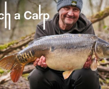 DAY-TRIP HAULING WITH IAN RUSSELL