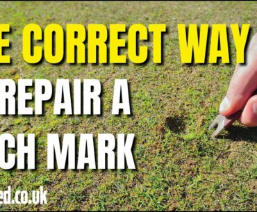 THE CORRECT WAY TO REPAIR A PITCH MARK