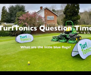 TurfTonics Question Time Blue Flags   4K