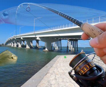 Stingray on Jerkbait? - Fishing Marco Island Bridge