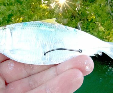 Fishing with Live Threadfins for Multiple Inshore Species