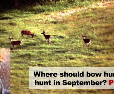 Where should bow hunters hunt in September? (Part 1)