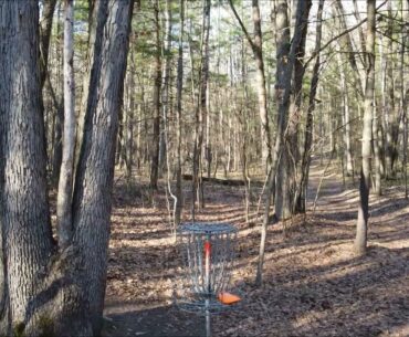 Wildwood 6 Long Tee Flyup 240 Ft | Disc Golf