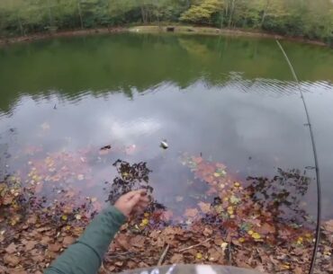 Jig fishing a old gravel pit for Largemouth Bass.