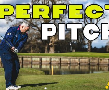Perfect Pitch - Distance Control Lesson