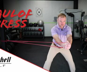The Role Of Strength And Flexibility In Your Golf Swing. Part I |  Mitchell Golf