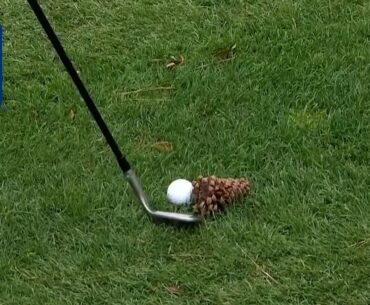 Billy Horschel’s recovery shot from pine cone at RBC Heritage